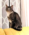 Gamora - Photo 2