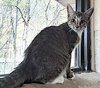 Gamora - Photo 9