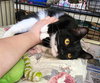 Ziggy - Photo 6