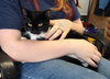 Ziggy - Photo 7