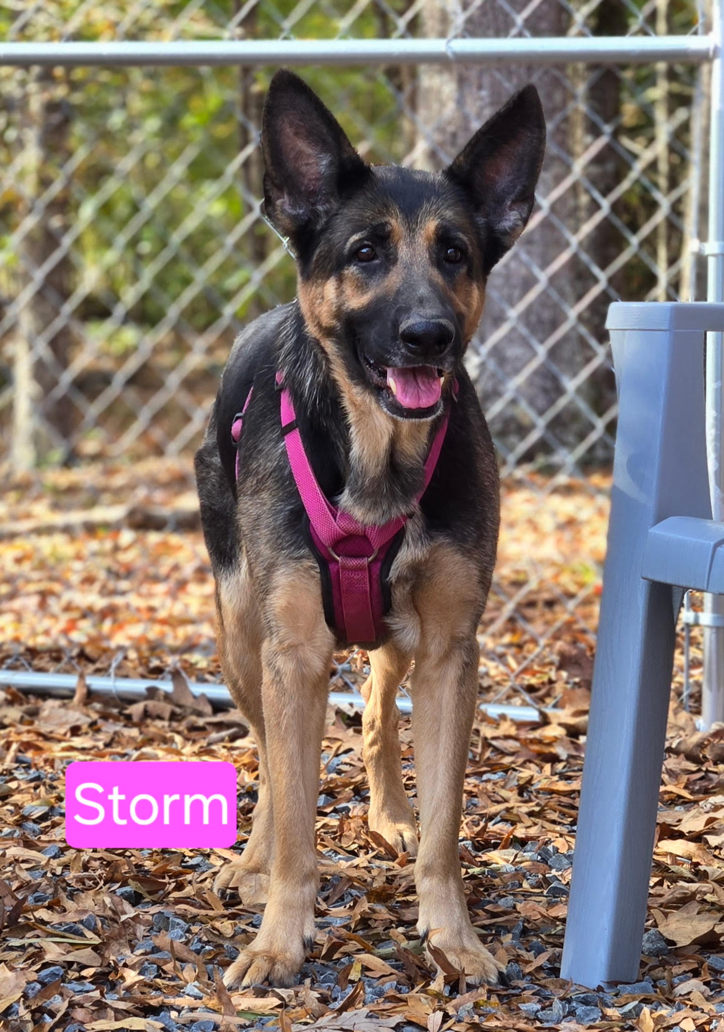 Storm