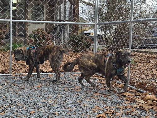 Clyde photo 3