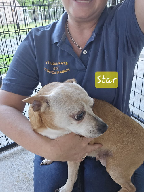 Star