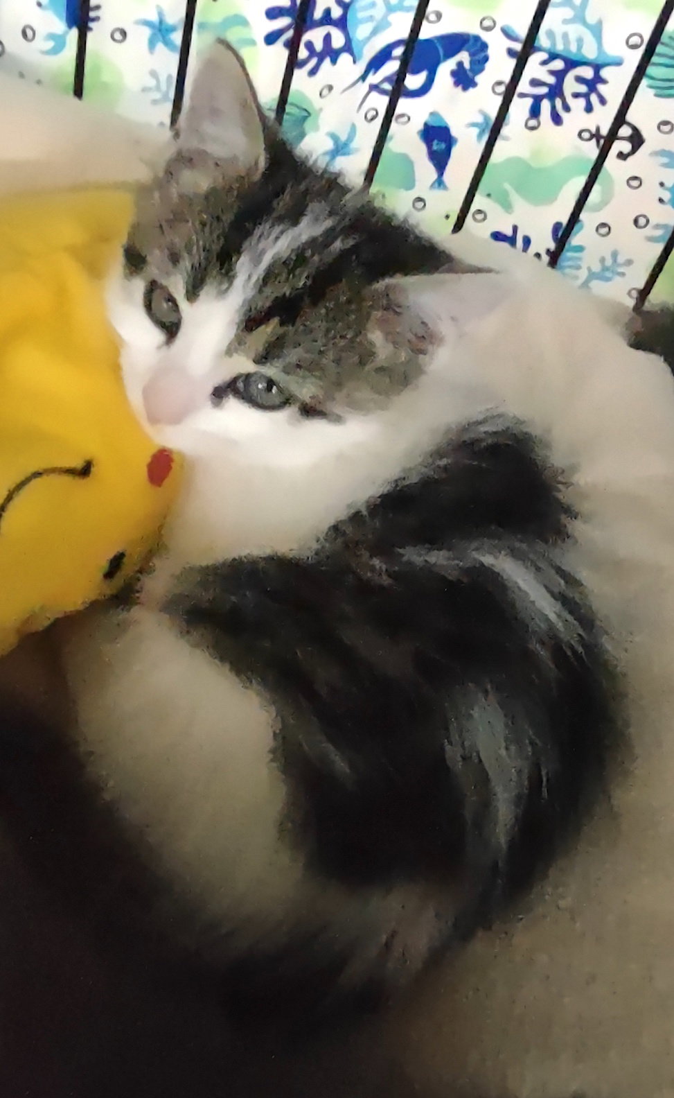 Violet, photo 4