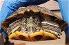 adoptable Turtle in burbank, CA named A111252