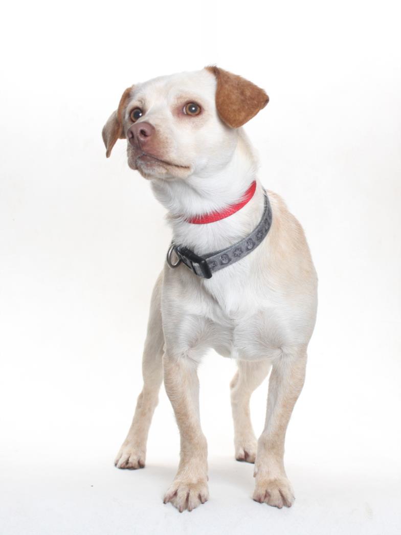 CHICO