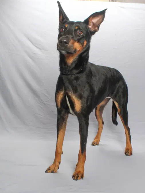 Macy Mae image 1