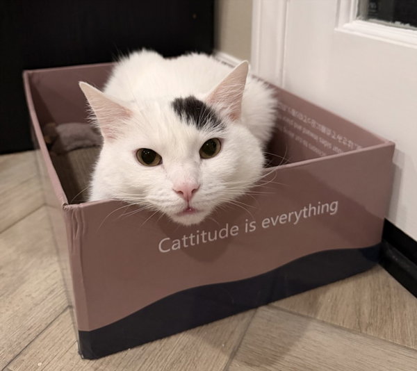 MARU