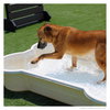 Capone - Photo 4