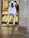 Skye - Photo 1