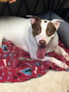Mitzi - Photo 2