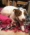 Mitzi - Photo 3