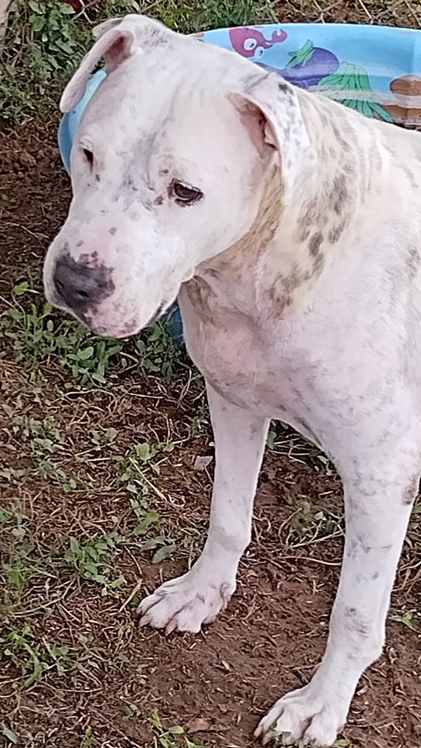 Xena
