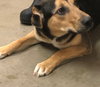 Jax - Photo 4