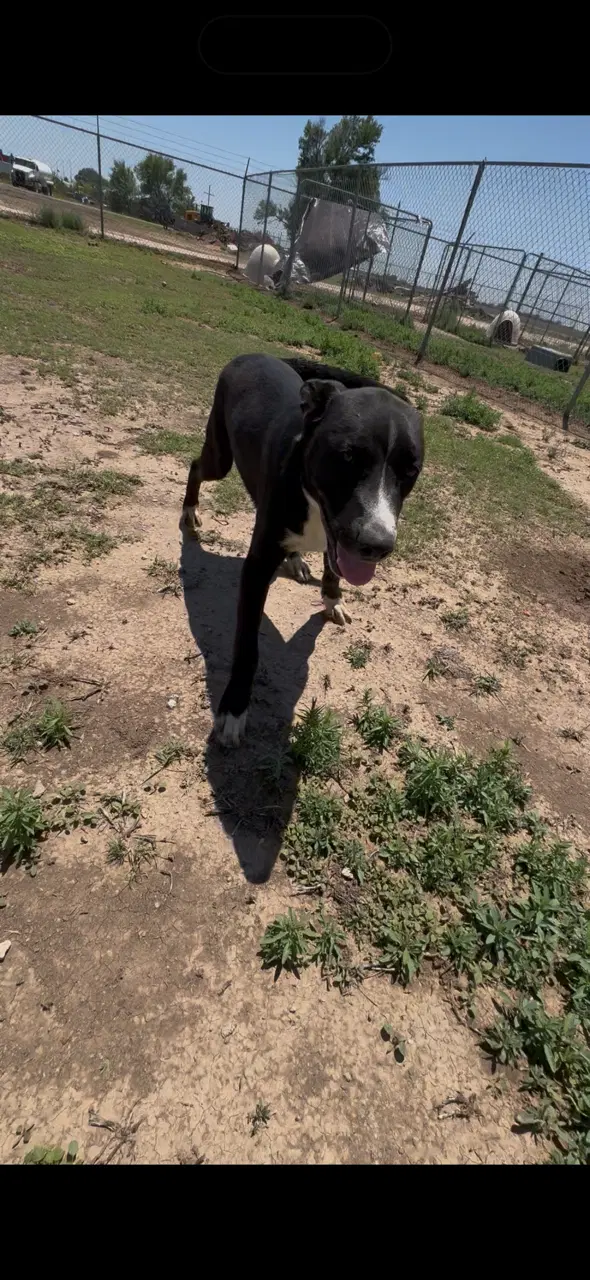 Tucker image 2