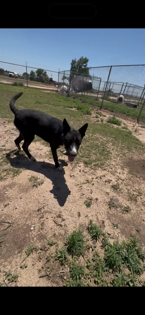 Tucker image 3
