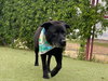 Delilah - Photo 3