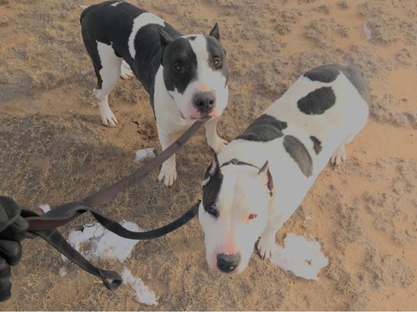 Max and Chyna