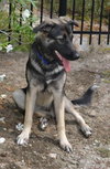 Helga - Photo 7