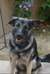 Helga - Photo 5