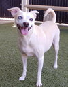 Jillie - Photo 11