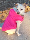 Jillie - Photo 9