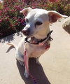 Jillie - Photo 8