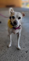 Jillie - Photo 7