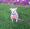 Jillie - Photo 6
