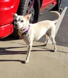 Jillie - Photo 3