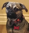 Mocha - Photo 3