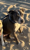 Mabel - Courtesy Post - Photo 4