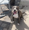 Mabel - Courtesy Post - Photo 2