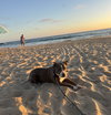 Mabel - Courtesy Post - Photo 3