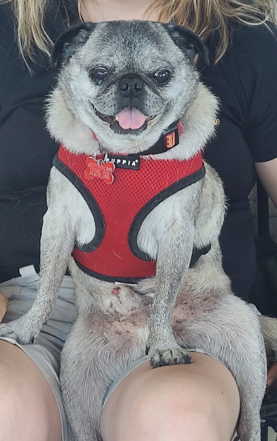 Kiko