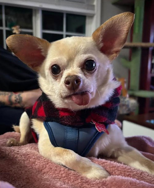 Diego