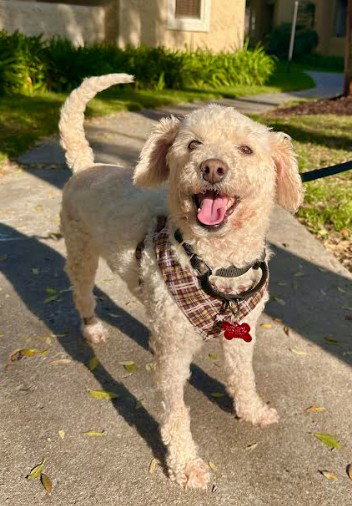 Benny