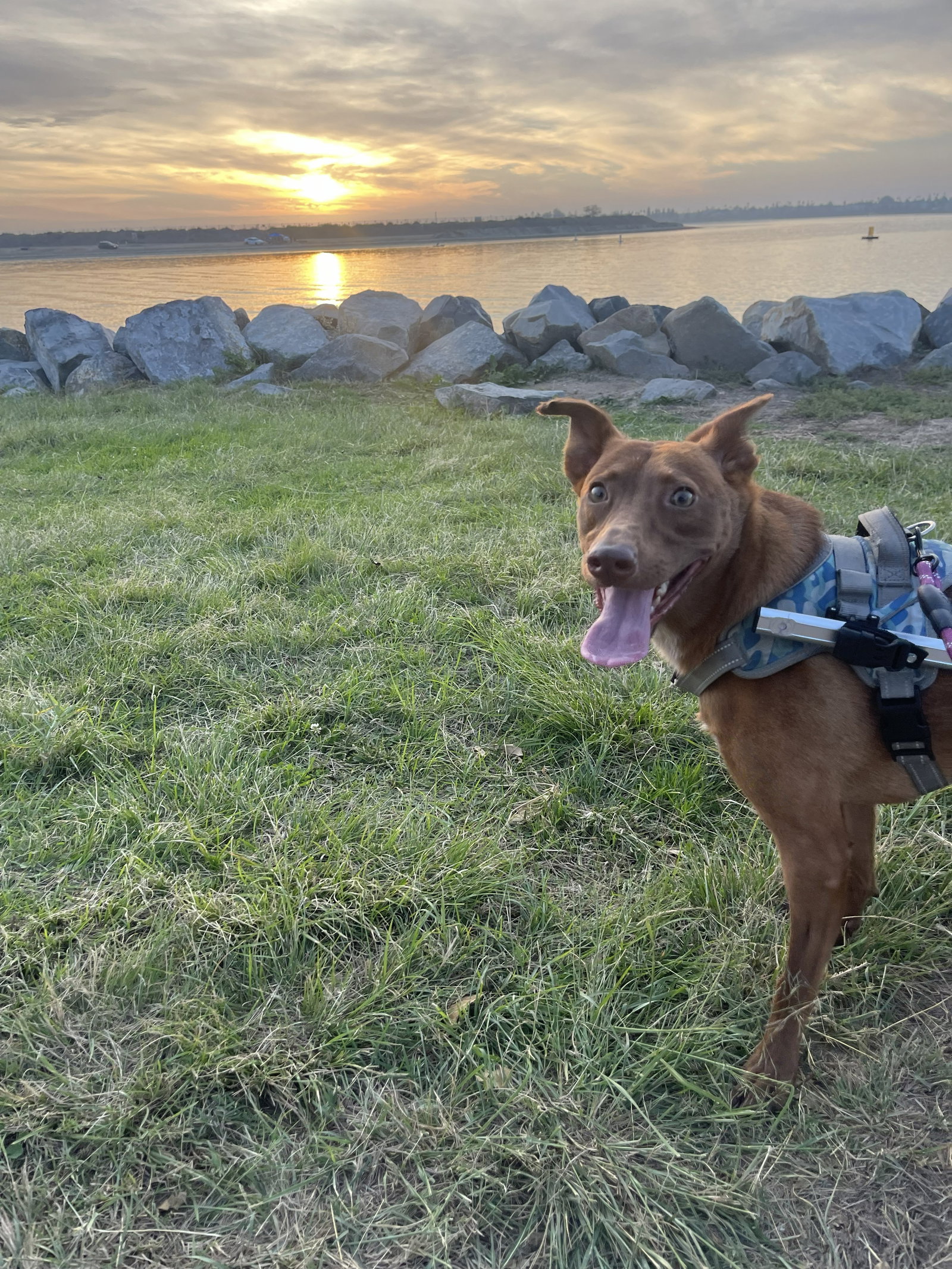 Mateo - Courtesy Post