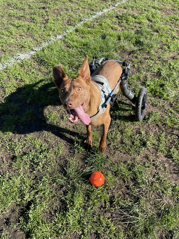 Mateo - Courtesy Post