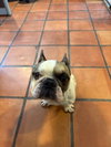 Oscar - Photo 6