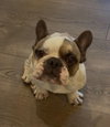 Oscar - Photo 2