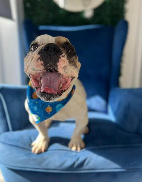 Oscar