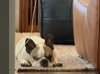 Oscar - Photo 3