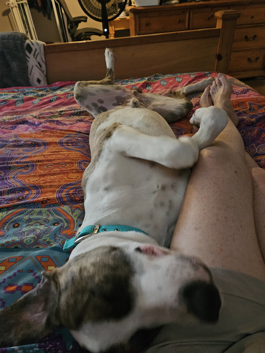 Roscoe