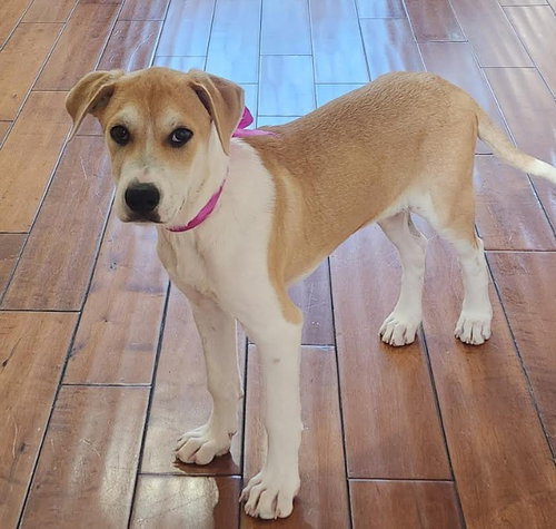 Skye