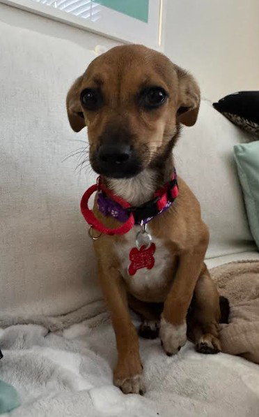 Eloise