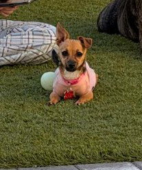 Mabel photo 6