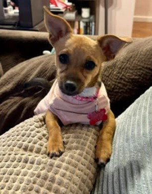 Mabel photo 3