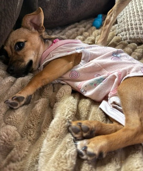 Mabel photo 4