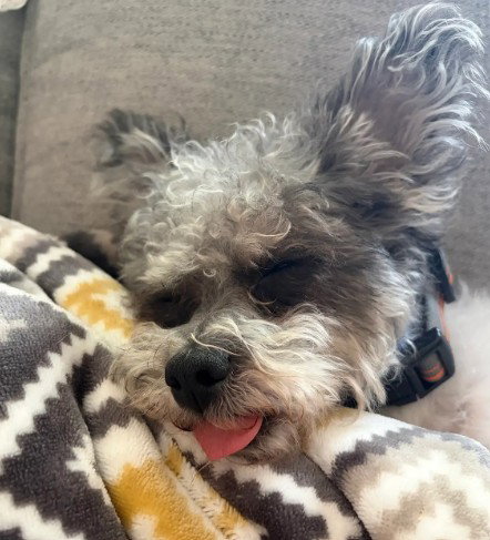 Nelson photo 5
